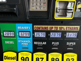 "Picture of a gas pump with number and prices with one type of gas titled "beavers"